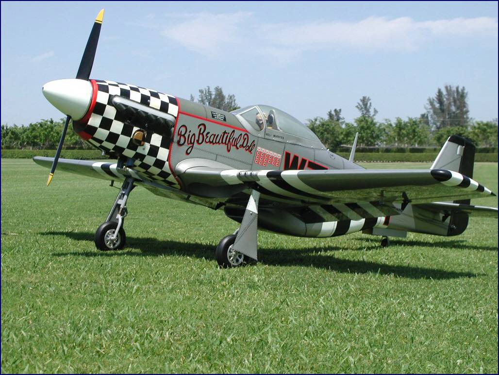 p51_5.jpg