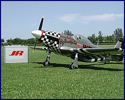 p51_7.jpg