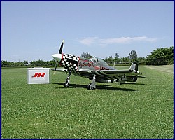 p51_8.jpg